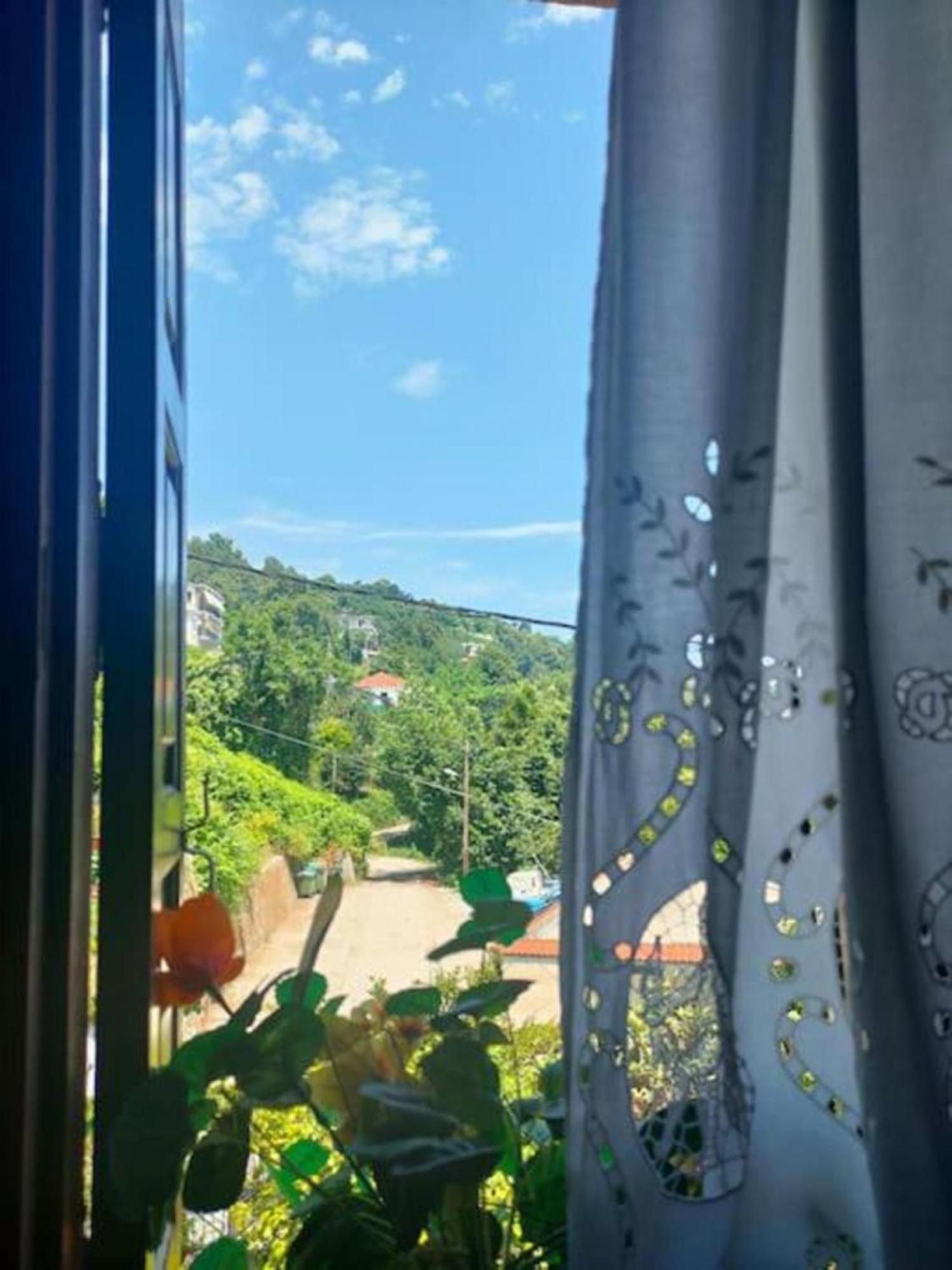 Hara'S House Pelion Daire Makrirrákhi Dış mekan fotoğraf