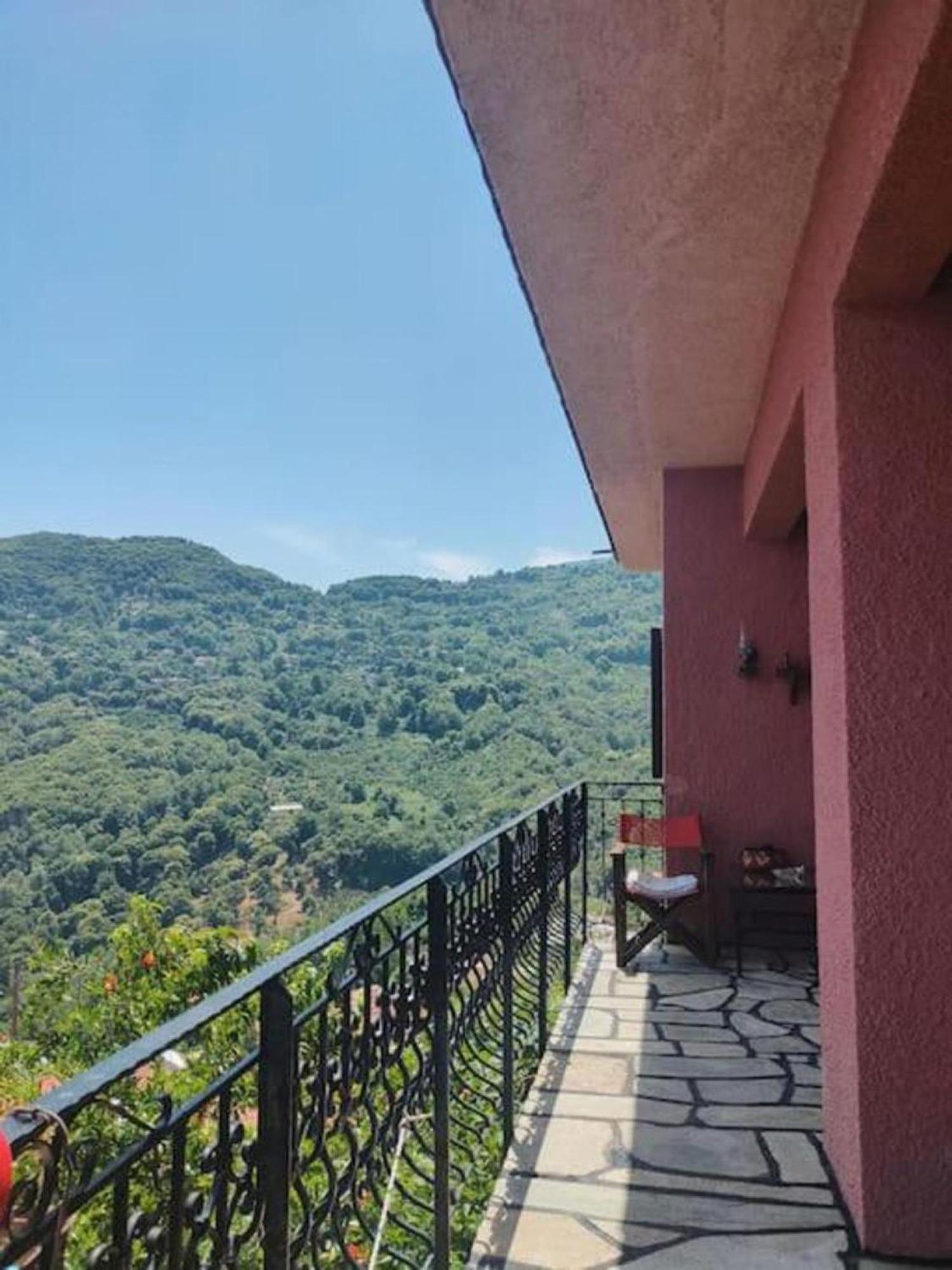 Hara'S House Pelion Daire Makrirrákhi Dış mekan fotoğraf