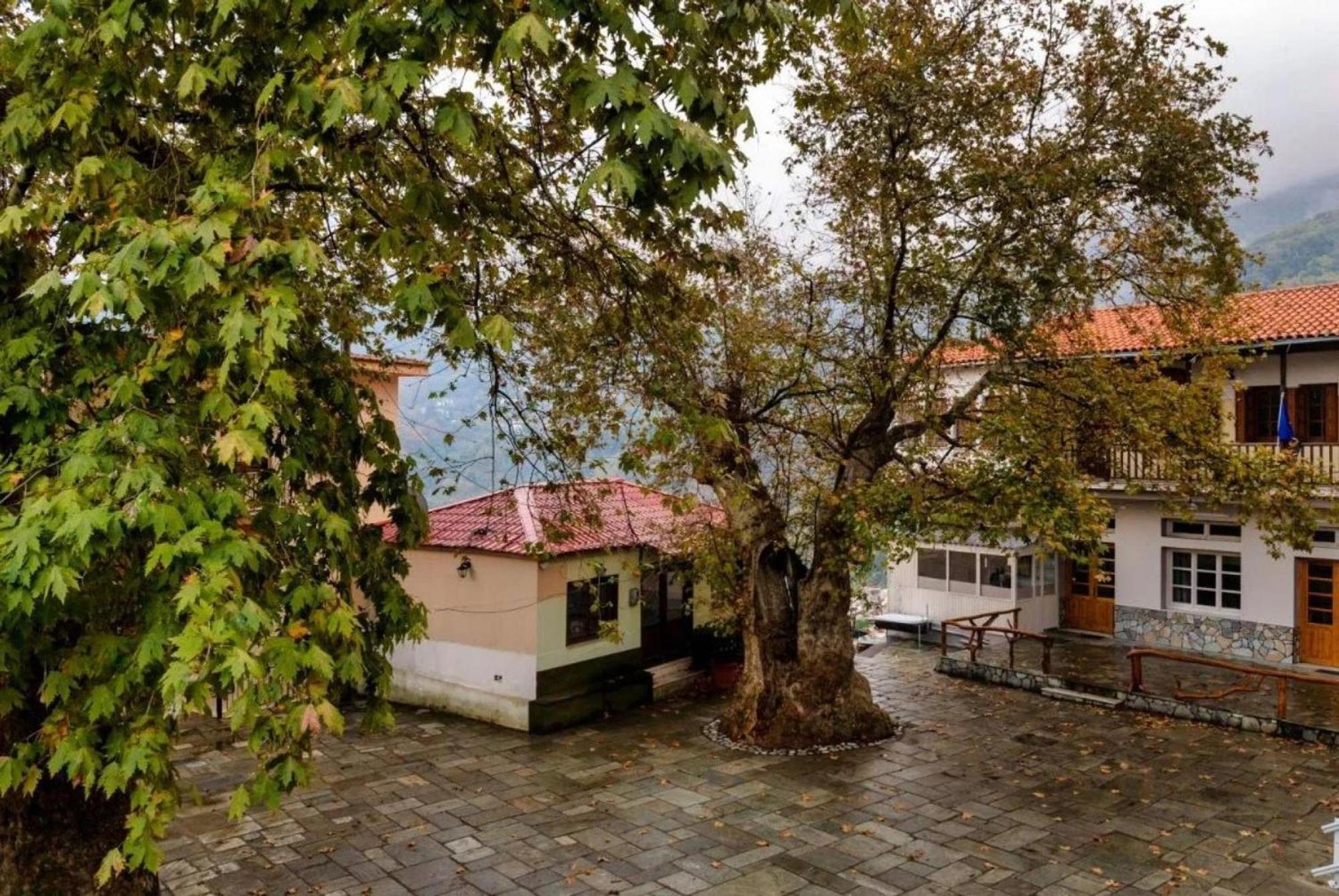 Hara'S House Pelion Daire Makrirrákhi Dış mekan fotoğraf