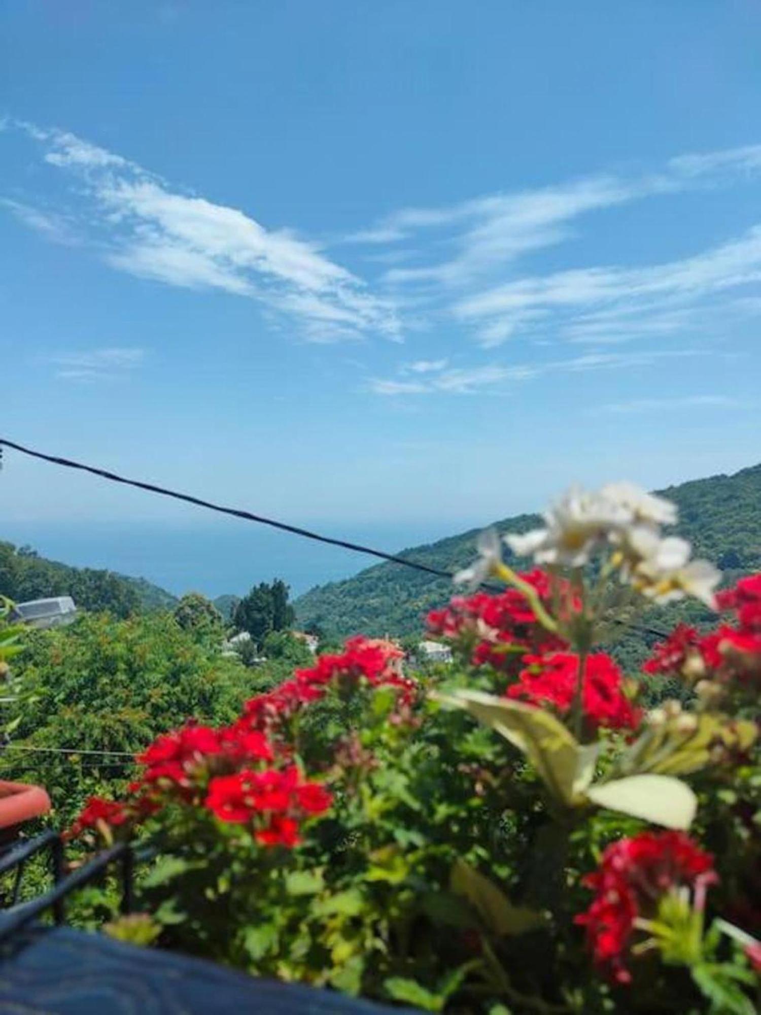 Hara'S House Pelion Daire Makrirrákhi Dış mekan fotoğraf