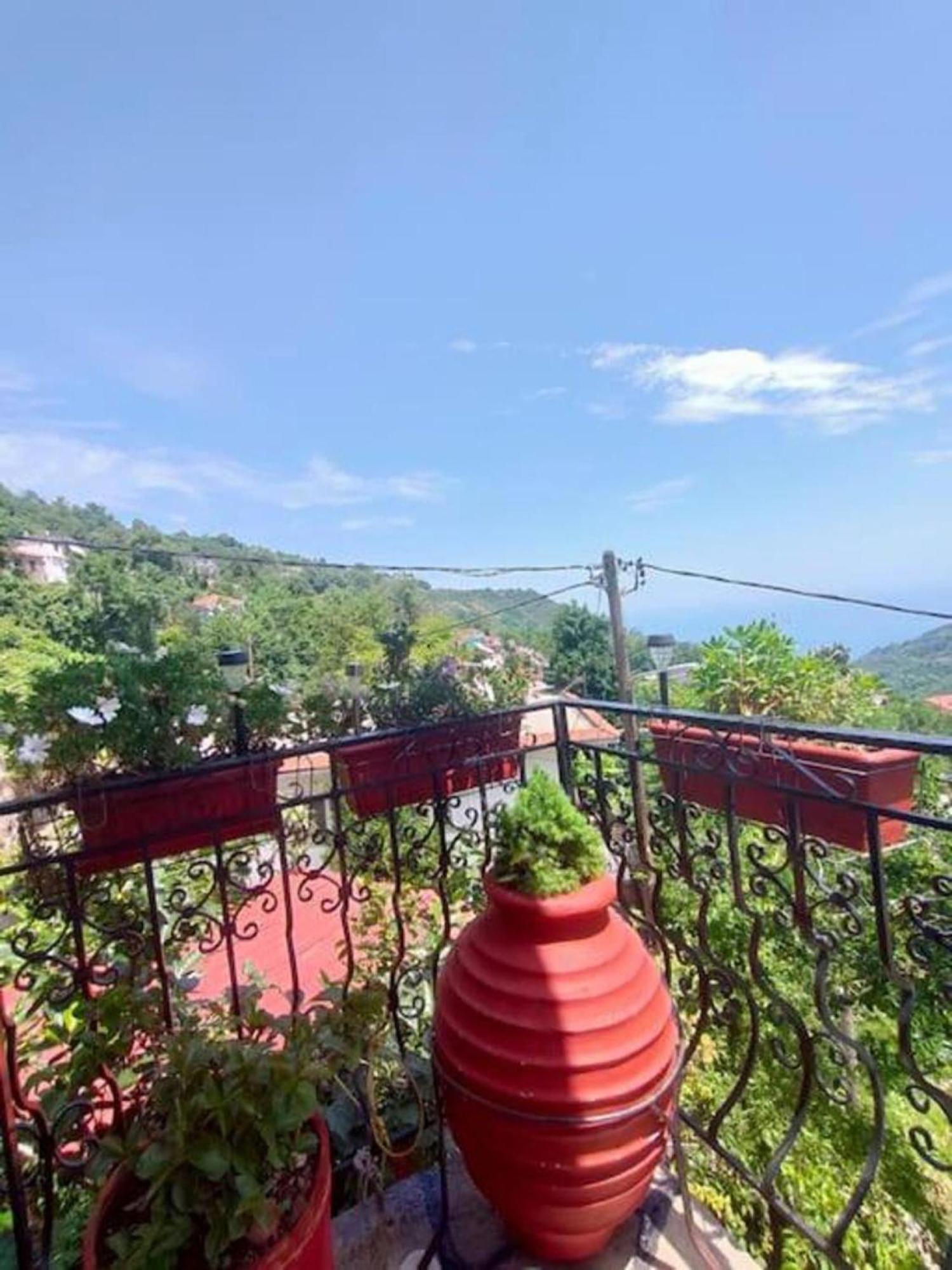 Hara'S House Pelion Daire Makrirrákhi Dış mekan fotoğraf