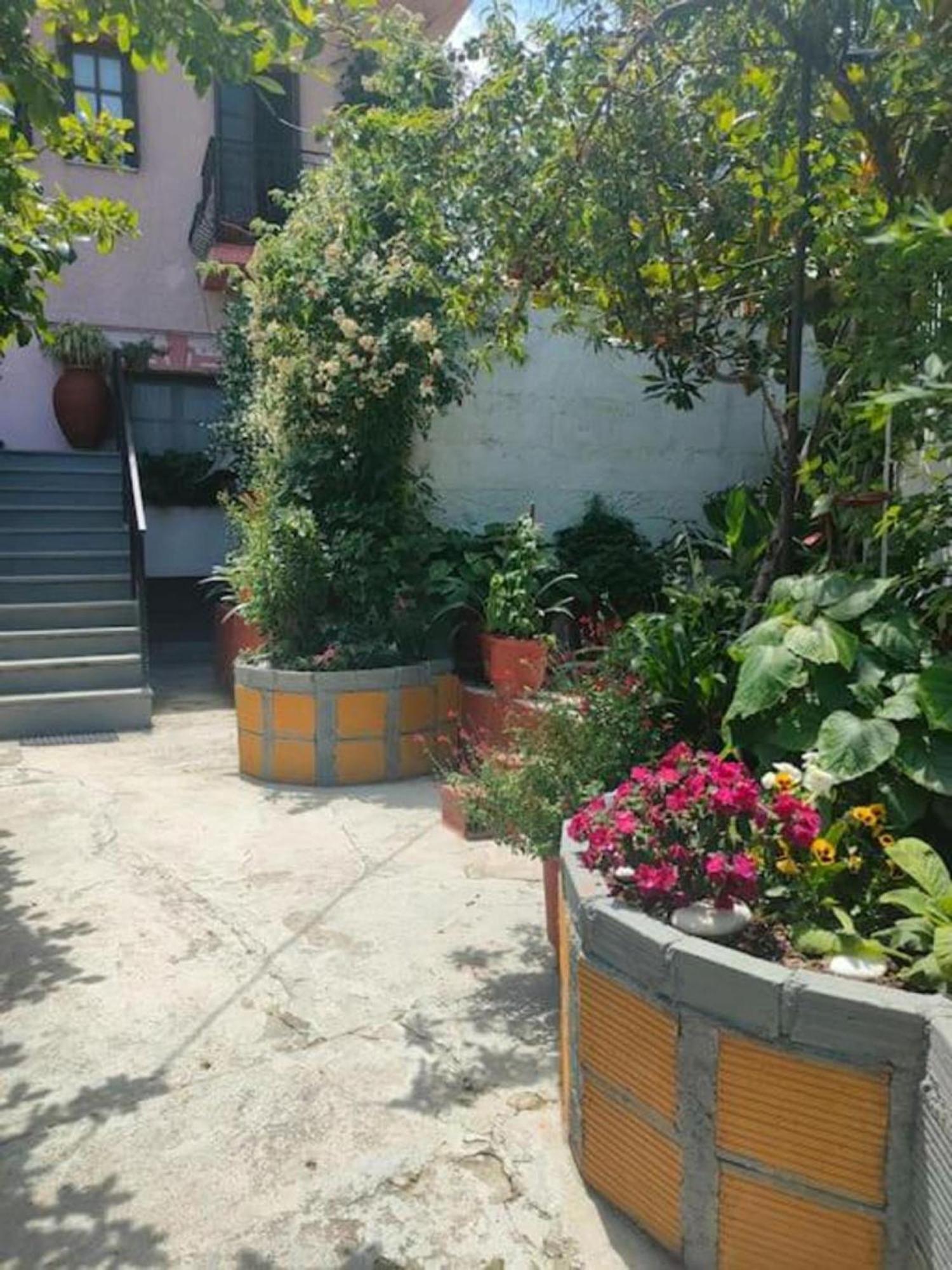 Hara'S House Pelion Daire Makrirrákhi Dış mekan fotoğraf