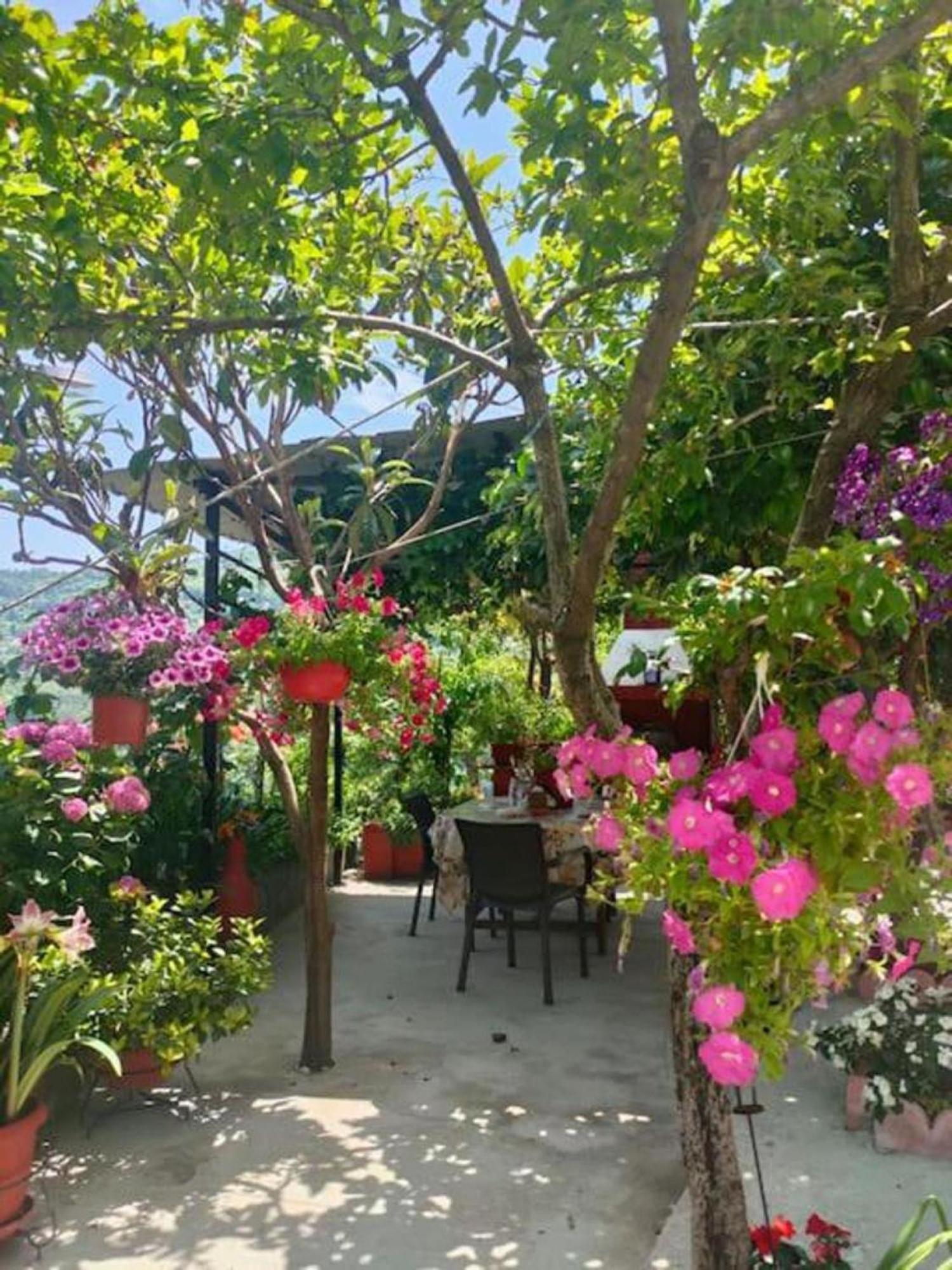 Hara'S House Pelion Daire Makrirrákhi Dış mekan fotoğraf